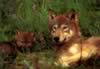 loup064.jpg (60kb)